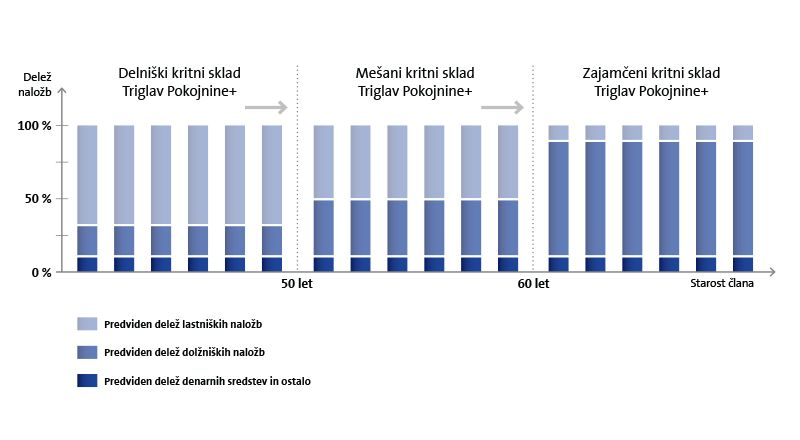 Naložbena politika življenskega cikla